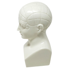 VTG Boehm ETRAFON Phrenology Head Ceramic Bust Drug Advertising Figurine – E