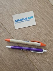Lot- Levaquin Ditropan Vioxx Singulair Pharmaceutical Pens Magnet Drug Rep