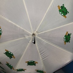 Augmentin Pharmaceutical Advertising Umbrella Frogs
