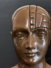 PHRENOLOGY HEAD-Medical Advertising-Promotional Statue BUST-Discontinued PAXIPAM