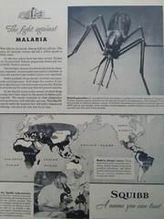 Squibb Print Ad Original Vintage 1945 Bristol Myers NYC Malaria Piper Cub PA