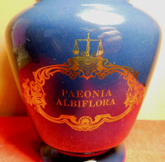 C/J~Apothecary Jar Eli Lilly „Paeonia Albiflora“ Pharmaceutical 4-58 Blue Empty