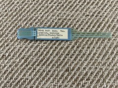 Vintage Hospital ID Bracelet 1972