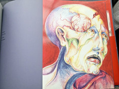 Rare 1982 SANDOZ Migraine Art Book „It’s All In Your Head“ + 35mm SLIDES Pharma