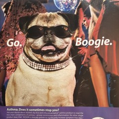 2003 Advair PRINT AD Pug Dog Sunglasses Dance Party Go Boogie Pharma Vintage 2Ks