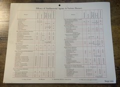 Vintage Squibb Antibacterial Chart Wheel Diseases Medical Science Medicine