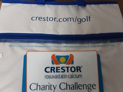 2004 Crestor Charity Challenge Golf Pharmaceutical Advertising Seat Cushion