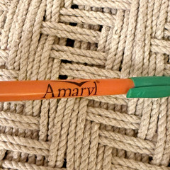AMARYL Pharmaceutical Pharmacy Drug Rep Pen Orange Green Tested Black Ink