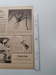 Squibb Print Ad Original Vintage 1945 Bristol Myers NYC Malaria Piper Cub PA