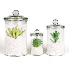 Mini Glass Apothecary Jars, Bathroom Storage Organizer Canisters for Cotton S…