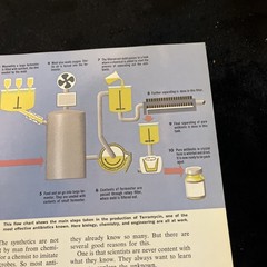 Weimer Purcell Antibiotic Production Illustration 1967 Original Encyclopedia