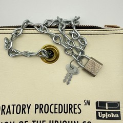 Vintage Upjohn Laboratory Specimen Pouch w/ Chain & Lock – Medical History