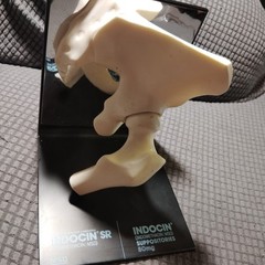 Hip Joint Model Advertising Indocin SR, Pharmaceutical Company Hand Out Doctors