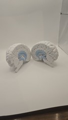 Alkermes Anatomical Brain Model Pharmaceutical Promo Desk Display