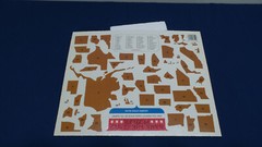 Amgen 50 States Picture Puzzle