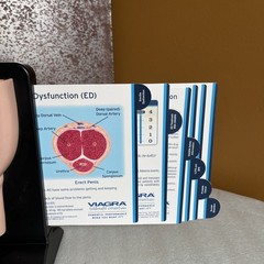 Vintage Viagra Detrol LA s Anatomy Model Pfizer Informational Pull Out Cards