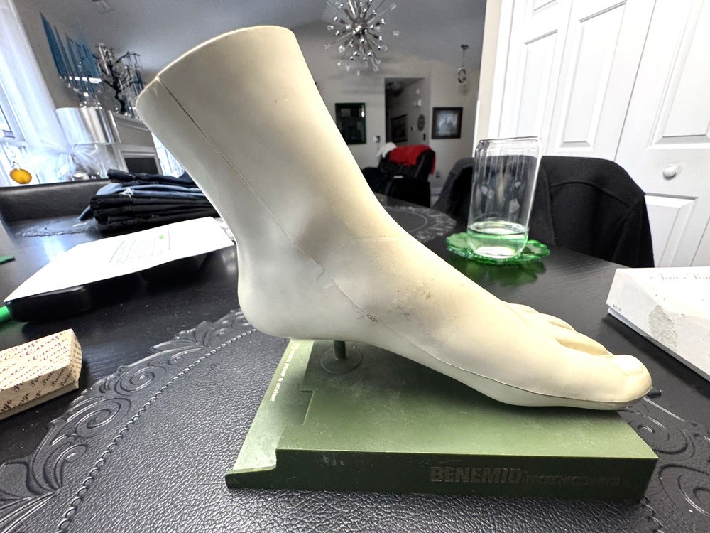 Vintage Merck Benemid/Indocin Advertising Display Foot Anatomical Store Model
