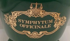 VTG Eli Lilly Ceramic Green Gold Trim Apothecary Jar-Symphytum Officinale #5-179