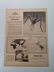 Squibb Print Ad Original Vintage 1945 Bristol Myers NYC Malaria Piper Cub PA