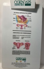 Vintage Pharmaceutical CLIPBOARD OGEN estrogen Female Reproductive System