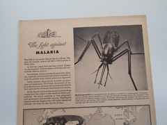 Squibb Print Ad Original Vintage 1945 Bristol Myers NYC Malaria Piper Cub PA