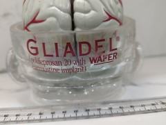 Gliadel Human Brain Anatomy Model w/ Clear Skull PharmaDesign Medical Display