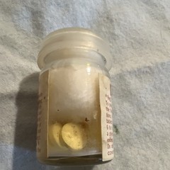 G.D. Searle & Co. Vintage Dramamine Tablets Bottle Pharmaceutical Collectible