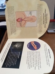 PLAVIX STROKE A LEARNING AND RESOURCE GUIDE CARDBOARD BOOK DRUG REP PROMO