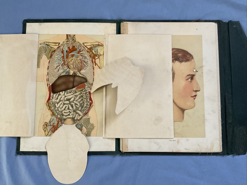Antique Medical Anatomy Book Embalmer Anatomy Book Binder 1903