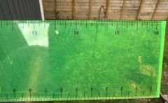 Effexor XR Venlafaxine HCl Pharmaceutical Promo Neon Green Plastic Ruler (16in)