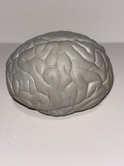 Pharmaceutical Sinemet CR Vintage Brain Shaped Stress Ball Drug Rep Promotional