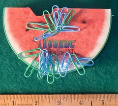 Watermelon 5X3X1″ Magnetic Paper Clip Holder & Clips Evoxac Pharma Drug Rep NIB