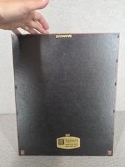Pfizer Drug Company Framed Plaque Award Rare Pharmaceutical Collectible