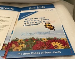 NASONEX 2005 Pharma “ BEE PREPARED: Info & Fun Stuff “ Packet-child allergies
