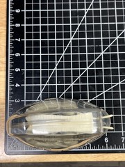 Vintage Librium Brain Anatomical Model Roche Laboratories Libritabs c1950s RARE