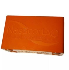 RARE Vintage NASACORT AQ Orange Business Card Holder Drug Rep Promotional