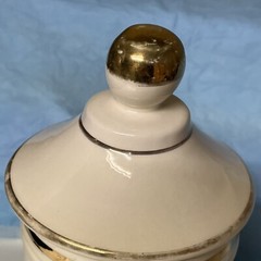 Radix Verat Vir Pharmacy Jar Multicolor Detail Ceramic Apothecary Canister Lid