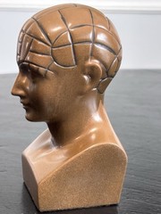 PHRENOLOGY HEAD-Medical Advertising-Promotional Statue BUST-Discontinued PAXIPAM