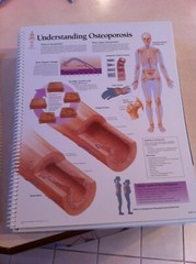 Drug rep 14″X11″ spiral bound Anatomic Charts