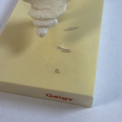 VINTAGE GEIGY Lumbar Spine Anatomical Model Medical School Doctor Display
