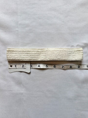 Vintage Eli Lilly and Company & US Capitol Hill Challenge Headband Late 1990s