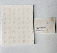 Prozac Pharmaceutical Drug Rep Collectible Notepad Sticky Note 1990s