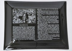 Squibb Drug Vtg ’50s Promo Black Glass Tray Rauwolfia Root India Raudixin Color
