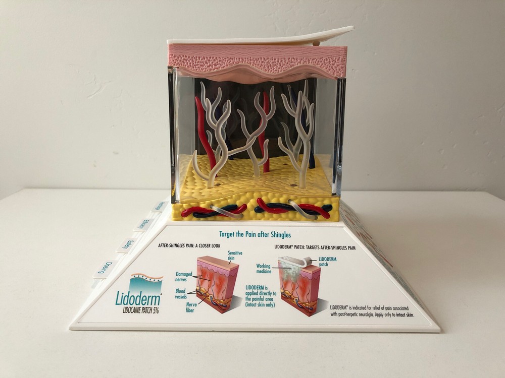 Endo Pharmaceuticals Drug Rep 3D Light Up Lidoderm Lidocaine Patch Model LD-1533