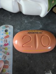 2000s Y2K Paxil Pill Refrigerator Magnet Memo Clip Drug Rep Promo