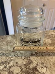Macrodantin Drug Rep Pharmaceutical Advertising Glass Apothecary Jar W/Lid
