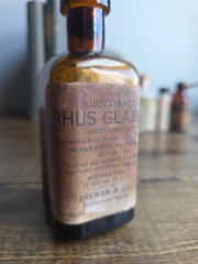 Vintage Antique Brewer & Co Rhus Glabra Tincture Medicine Bottle Worcester Mass