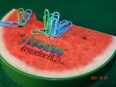 Watermelon 5X3X1″ Magnetic Paper Clip Holder & Clips Evoxac Pharma Drug Rep NIB
