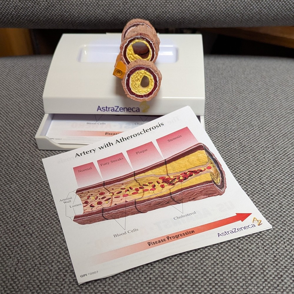 Drug Rep Promo AstraZeneca Cholesterol Artery Display Model w Educ. Flyers 2007
