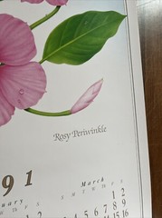 Vintage 1991 Rosy Periwinkle Pharmacy History Pharmacist Poster Afrin Promo